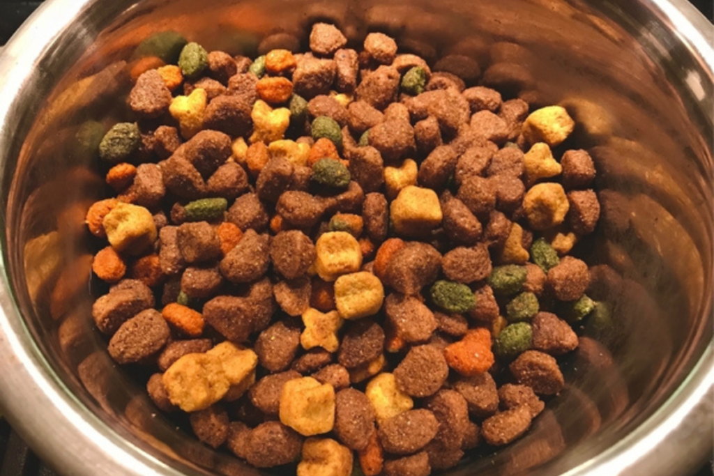 donate to help stray dogs