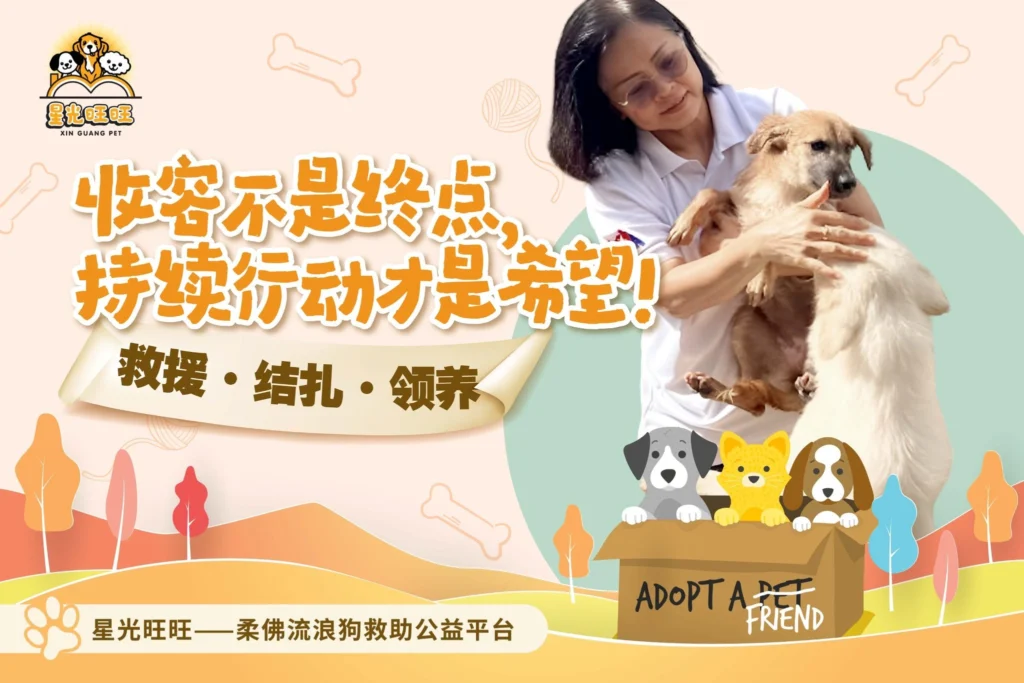 donate to help stray dogs