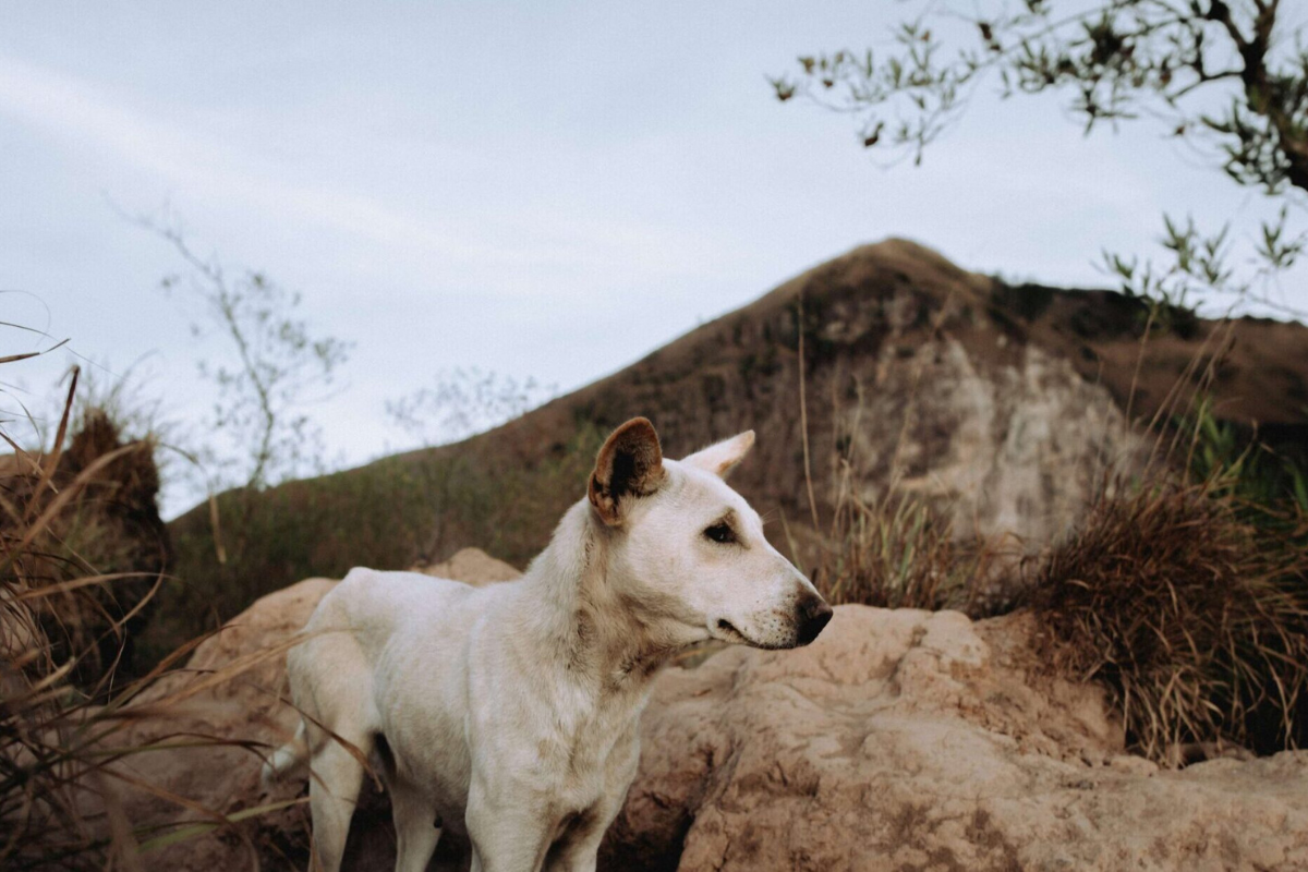 未命名設計 (15)