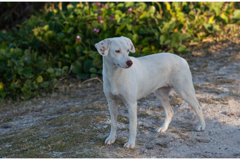 未命名設計 (44)