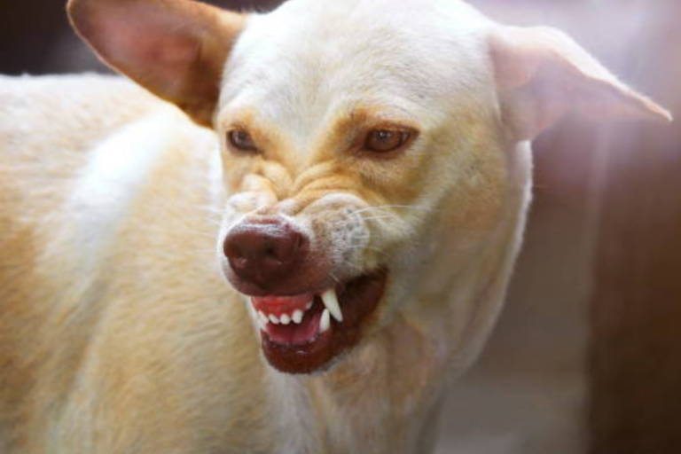 未命名設計 (49)