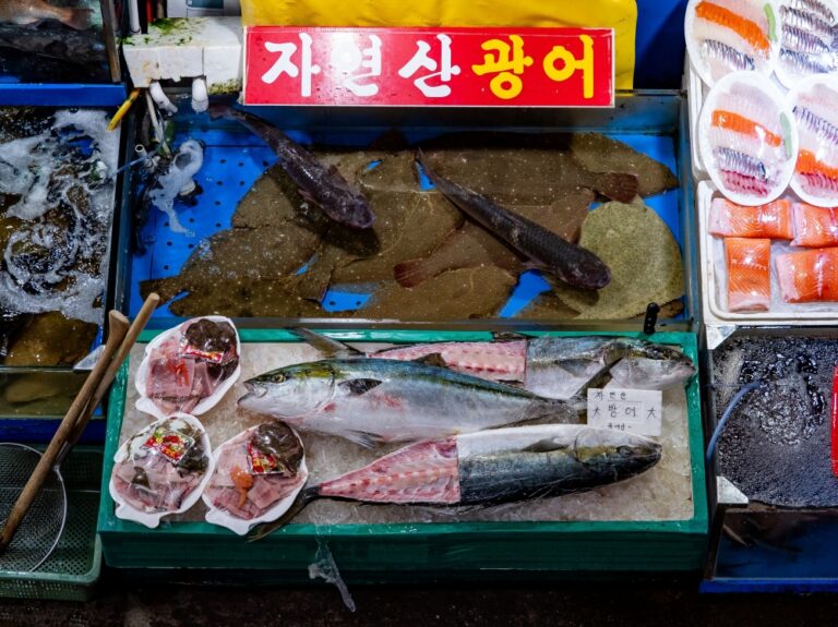 south-korea-s-heat-wave-drives-food-prices-to-crisis-levels-as-vegetable-and-seafood-supplies-collapse-featured