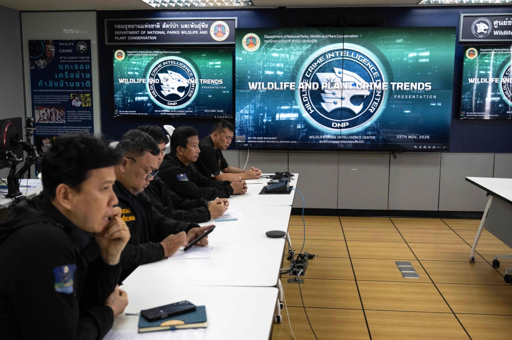 thailand-s-wildlife-crime-crackdown-inside-the-raids-that-uncovered-leopards-hidden-corals-and-the-dark-reality-of-illegal-animal-trade-featured